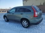 2007 Honda CR-V EX