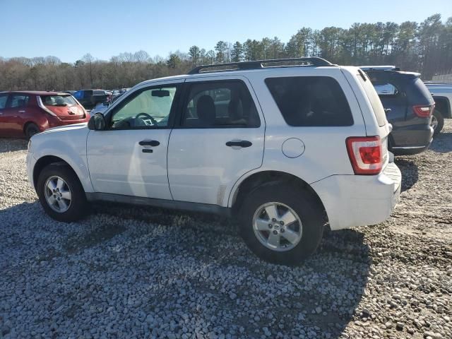 2010 Ford Escape XLT