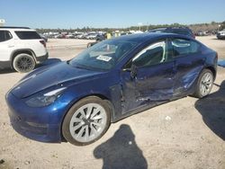 Salvage cars for sale at Houston, TX auction: 2023 Tesla Model 3