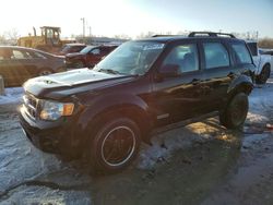 2008 Ford Escape XLS en venta en Louisville, KY