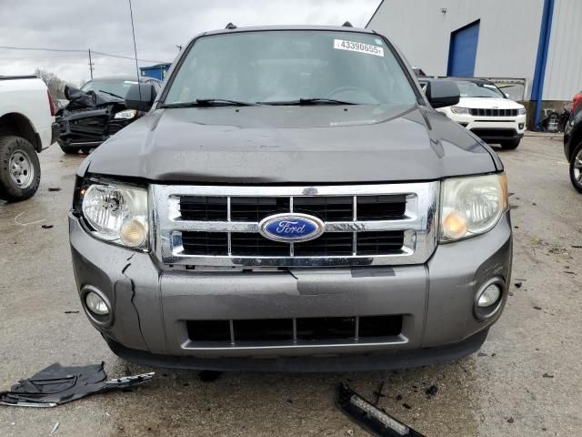 2011 Ford Escape XLT