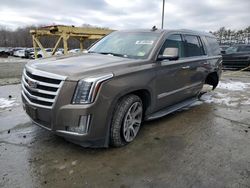 Salvage cars for sale at Windsor, NJ auction: 2016 Cadillac Escalade Luxury