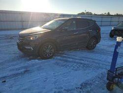 Hyundai Santa fe salvage cars for sale: 2017 Hyundai Santa FE Sport