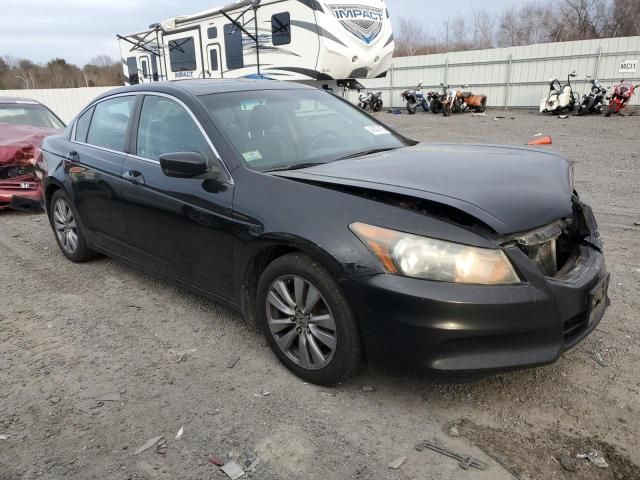 2011 Honda Accord EXL