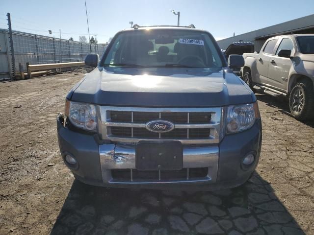 2011 Ford Escape Hybrid