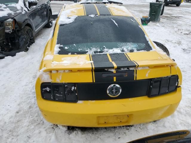 2005 Ford Mustang