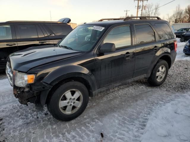 2010 Ford Escape XLT