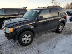 2010 Ford Escape XLT en venta en Wayland, MI