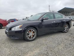 Nissan Vehiculos salvage en venta: 2014 Nissan Maxima S