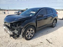 Honda crv salvage cars for sale: 2019 Honda CR-V EXL