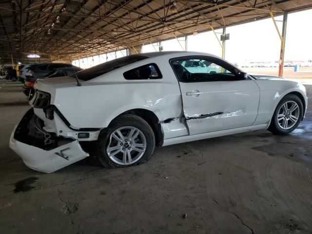 2013 Ford Mustang