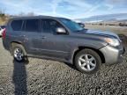 2013 Lexus GX 460