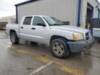 2007 Dodge Dakota Quattro