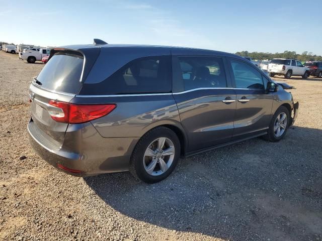 2019 Honda Odyssey EXL