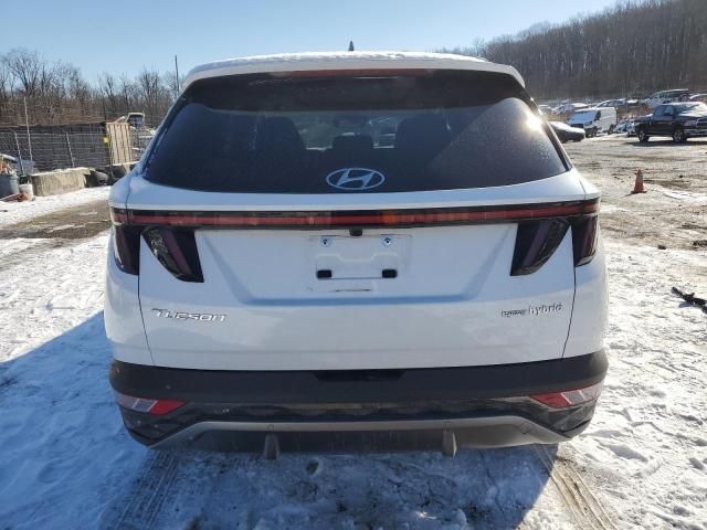 2024 Hyundai Tucson Limited