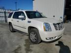 2007 Cadillac Escalade Luxury