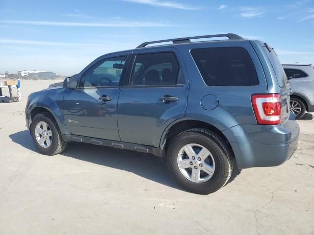 2011 Ford Escape Hybrid