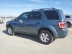 2011 Ford Escape Hybrid