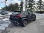 2019 Lexus UX 200