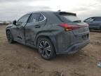 2020 Lexus UX 250H