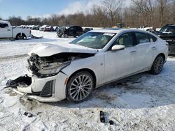 Salvage cars for sale at Ellwood City, PA auction: 2020 Cadillac CT5 Premium Luxury