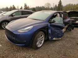 2024 Tesla Model Y en venta en Graham, WA