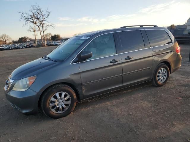 2008 Honda Odyssey EXL