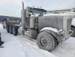 Peterbilt 379 Vehiculos salvage en venta: 2006 Peterbilt 379