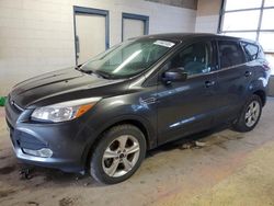 Salvage cars for sale at Indianapolis, IN auction: 2015 Ford Escape SE