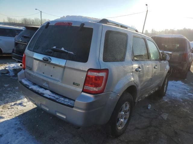 2011 Ford Escape Limited