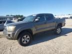 2009 Toyota Tacoma Double Cab Prerunner