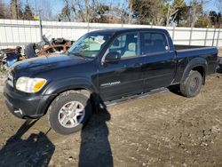 Salvage trucks for sale at Hampton, VA auction: 2005 Toyota Tundra Double Cab Limited