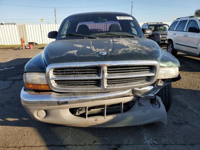 2000 Dodge Dakota