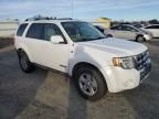 2008 Ford Escape HEV