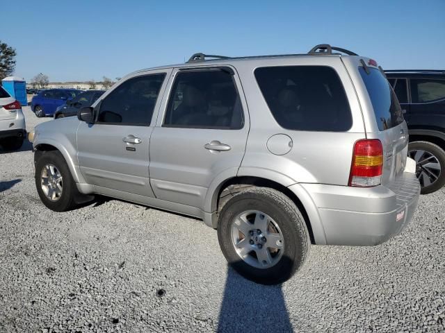 2007 Ford Escape Limited