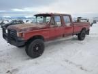 1989 Ford F350