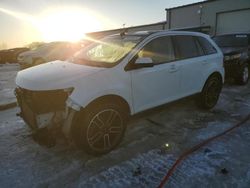 Salvage cars for sale at Wayland, MI auction: 2013 Ford Edge SEL