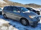 2009 Honda Odyssey EX