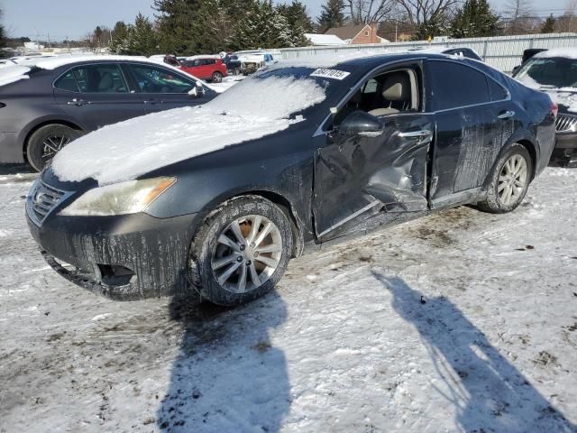 2010 Lexus ES 350