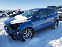 Salvage cars for sale at Cahokia Heights, IL auction: 2017 Ford Escape SE