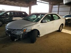 Salvage cars for sale at American Canyon, CA auction: 2014 Toyota Camry Hybrid