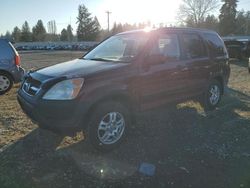 Honda cr-v ex Vehiculos salvage en venta: 2003 Honda CR-V EX