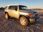 2010 Toyota FJ Cruiser