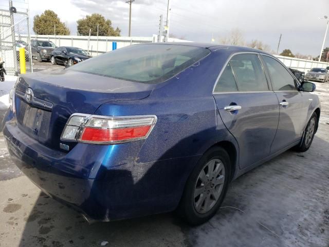 2007 Toyota Camry Hybrid