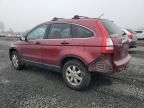 2007 Honda CR-V EX