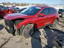 Ford Escape Vehiculos salvage en venta: 2022 Ford Escape SEL