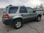 2006 Ford Escape XLT