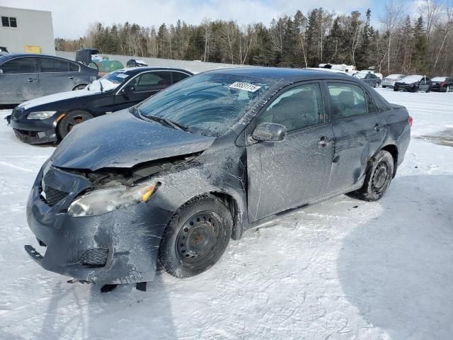 2010 Toyota Corolla Base