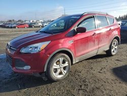 Salvage cars for sale from Copart Eugene, OR: 2016 Ford Escape SE