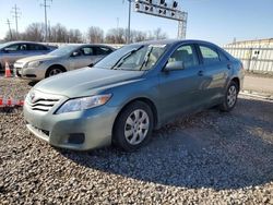 Toyota salvage cars for sale: 2010 Toyota Camry Base